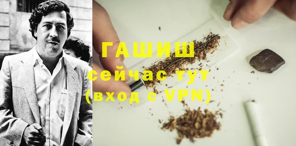хмурый Алексин