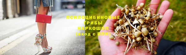 хмурый Алексин