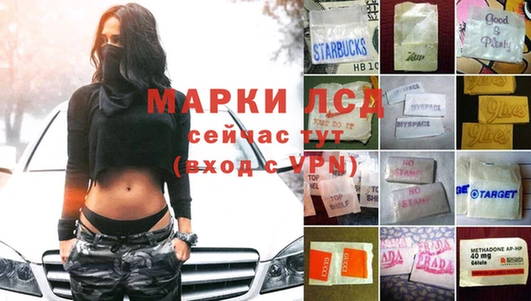 хмурый Алексин
