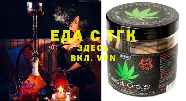 хмурый Алексин
