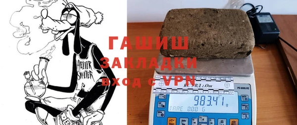 хмурый Алексин