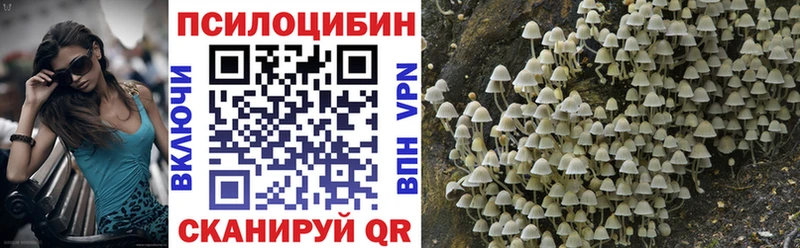 ссылка на мегу зеркало  Елизово  Галлюциногенные грибы мухоморы  даркнет сайт 